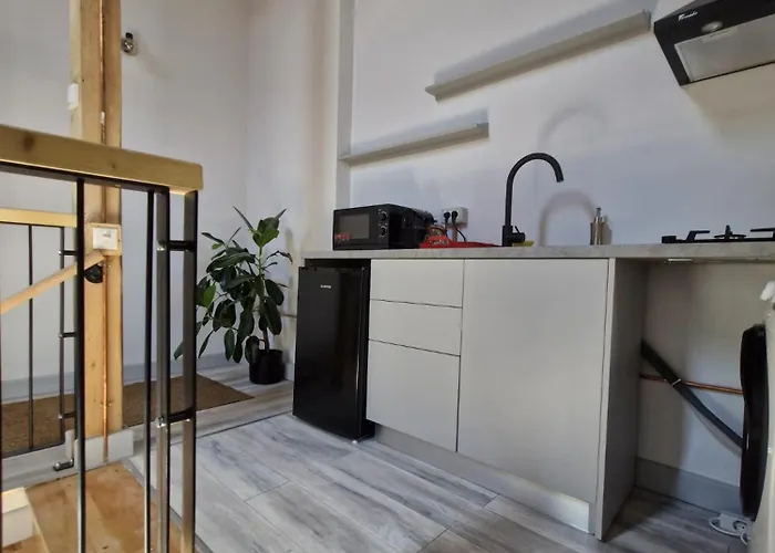 Small Attic With Private Bathroom בוקרשט